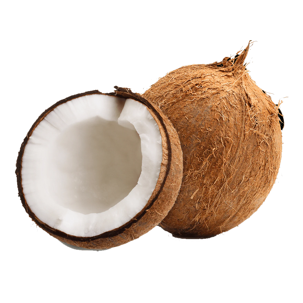 Coconut Whole Big