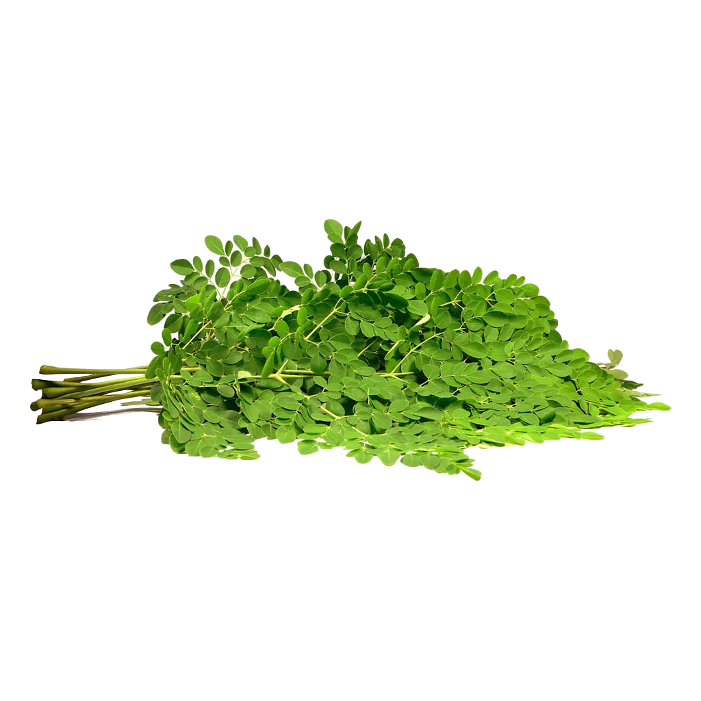 Drumstick Leaves