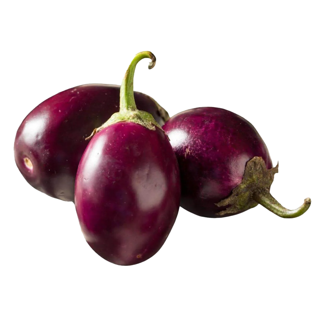 Eggplant Indian