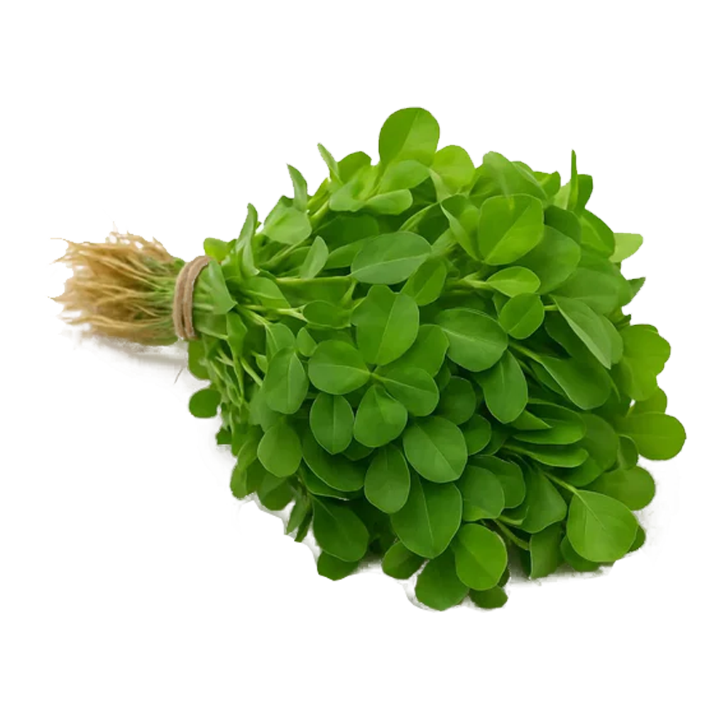 Methi Leaves Bunch