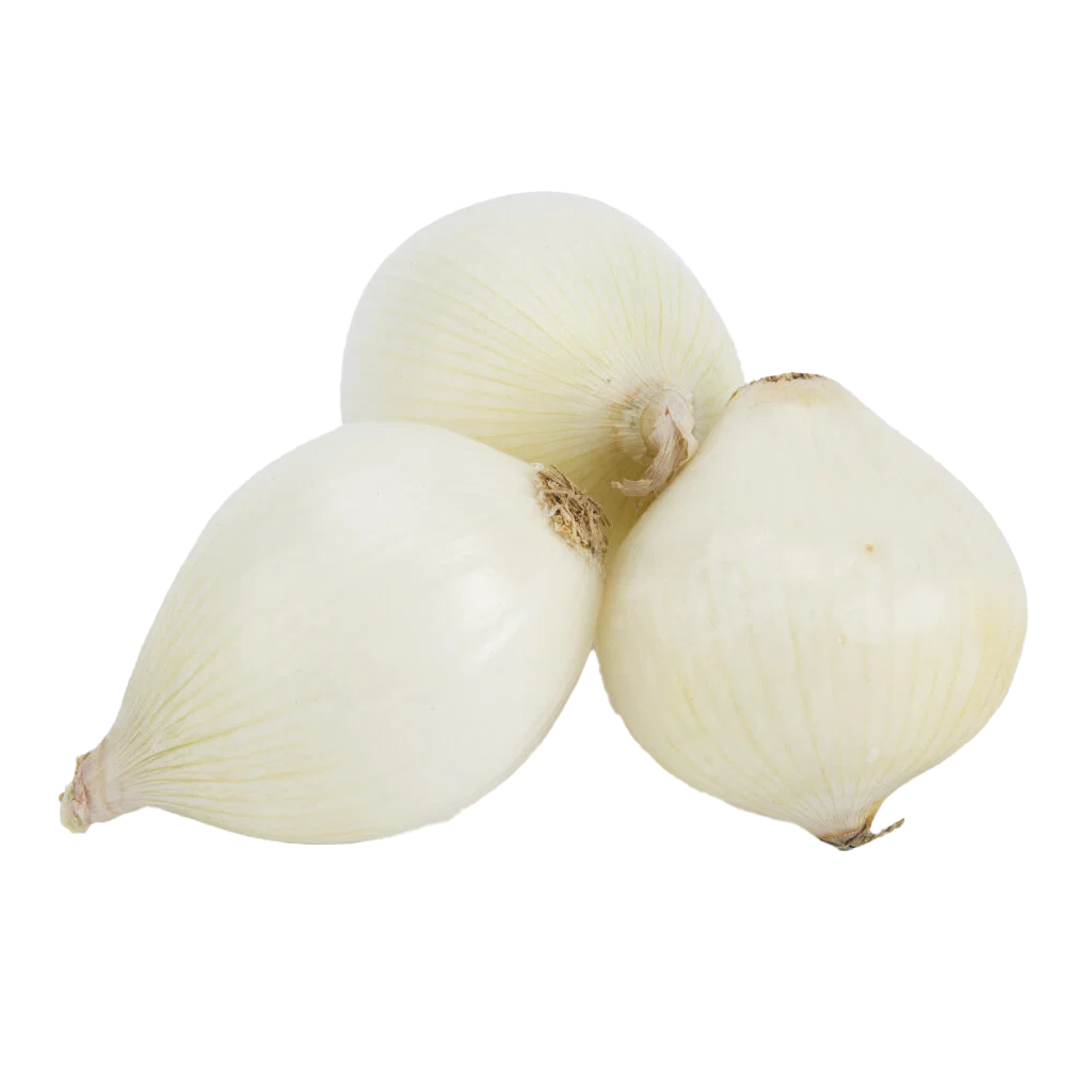 Onion White Med
