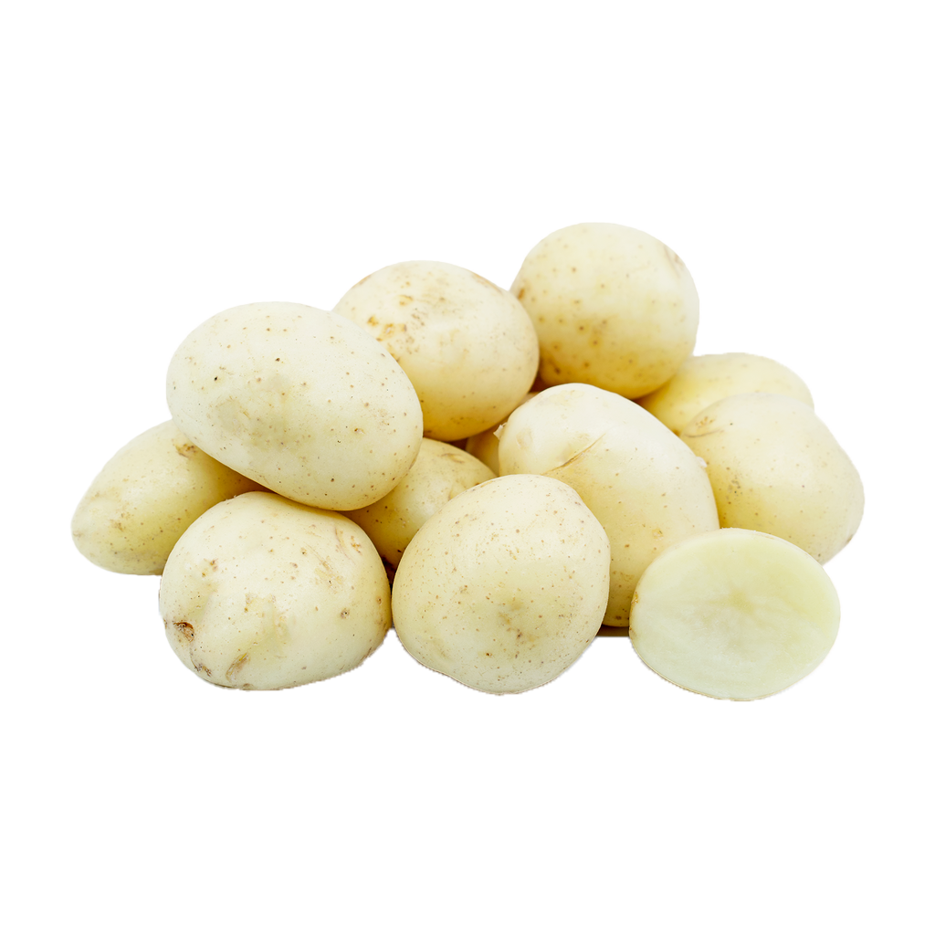 Potato White B