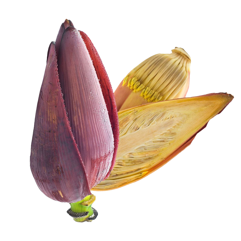 Banana Flower