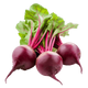 Beet