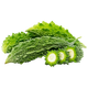 Bitter melon India