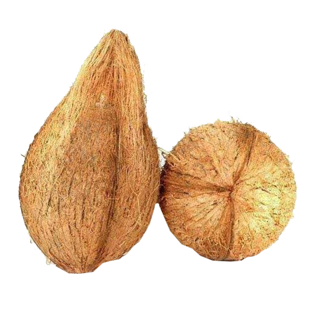 Coconut Pooja