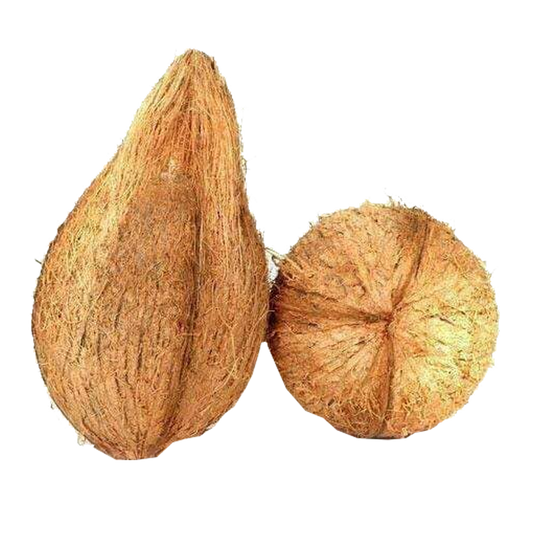 Coconut Pooja