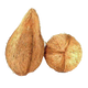 Coconut Pooja