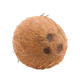 Coconut Whole