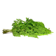 Drumstick Leaves