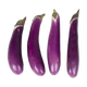 Eggplant Chines