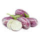 Eggplant Indian Graffiti