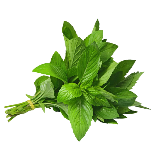 Mint Leaves Bunch