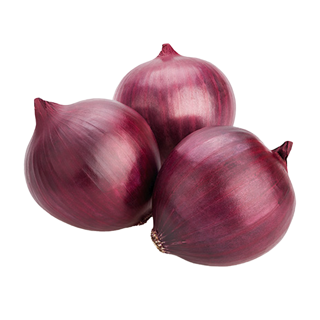 Onion Red Medium
