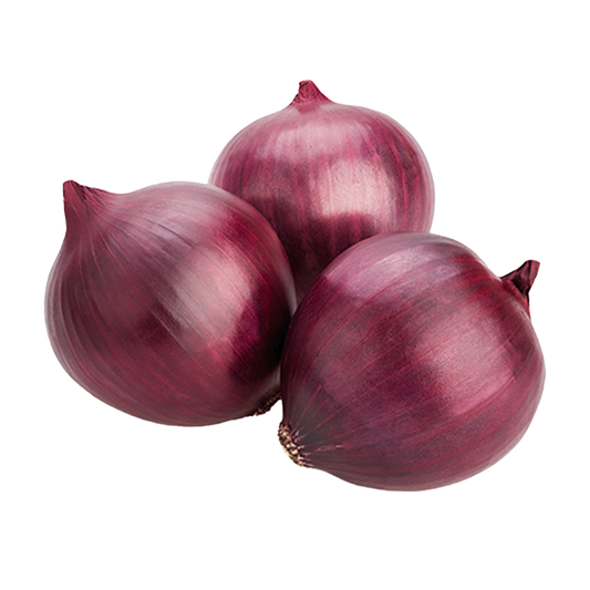 Onion Red Medium