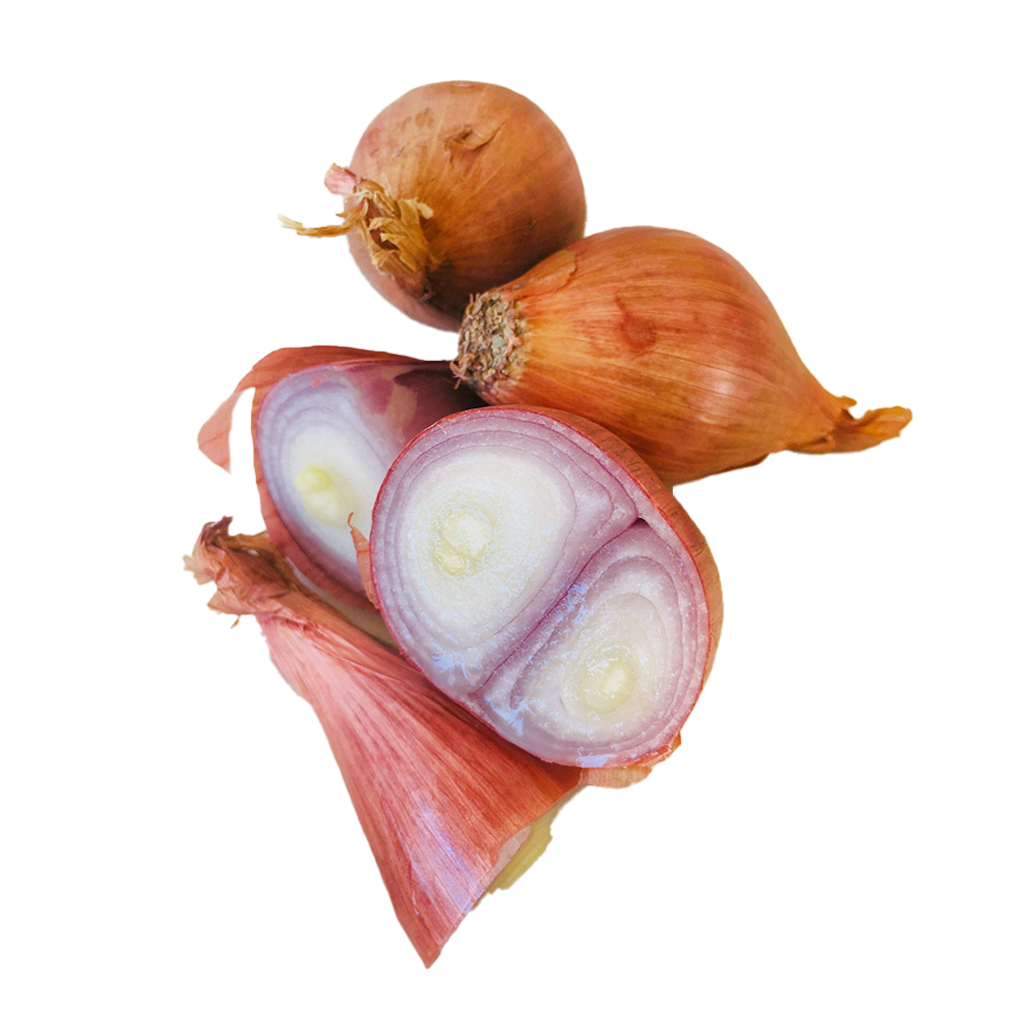 Onion Shallots  2lb