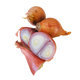 Onion Shallots  2lb