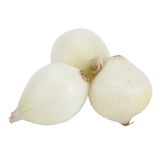 Onion White Med