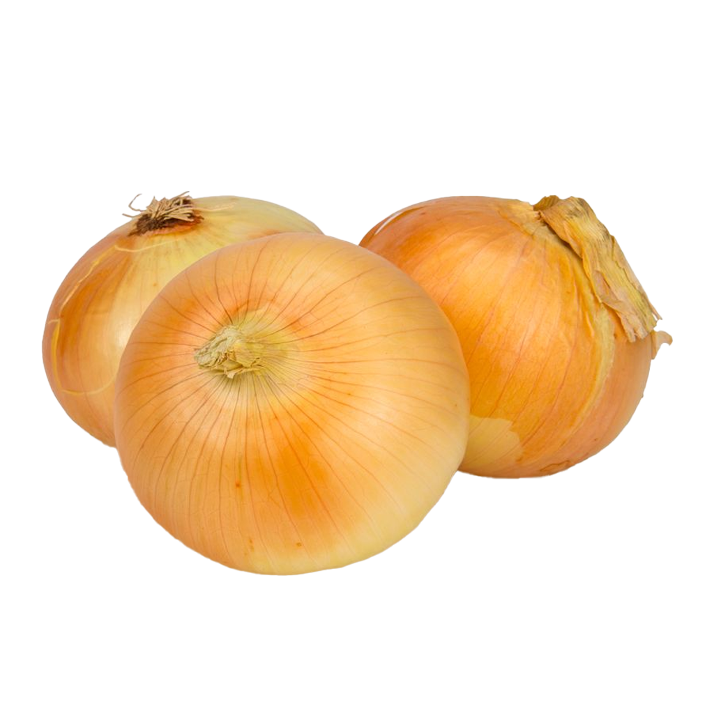 Onion Yellow Medium