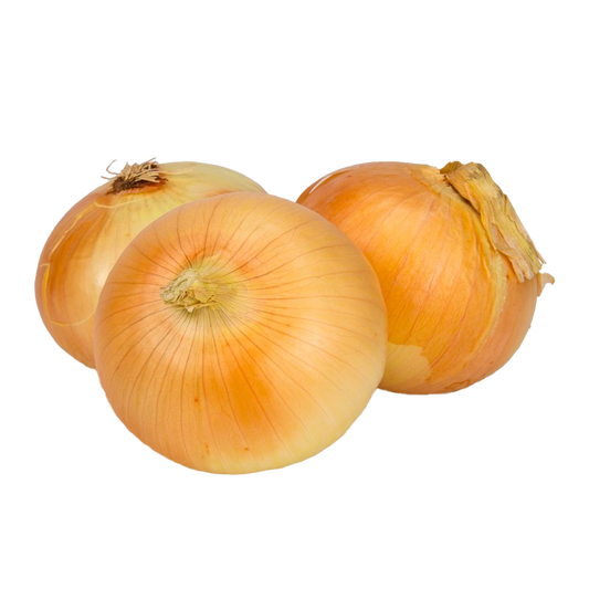 Onion Yellow Medium