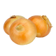 Onion Yellow Medium