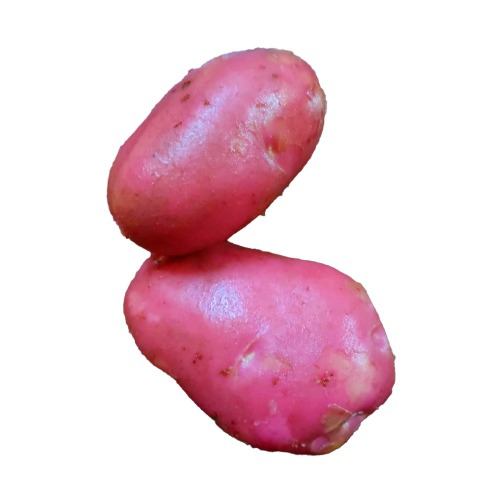 Potato Red B