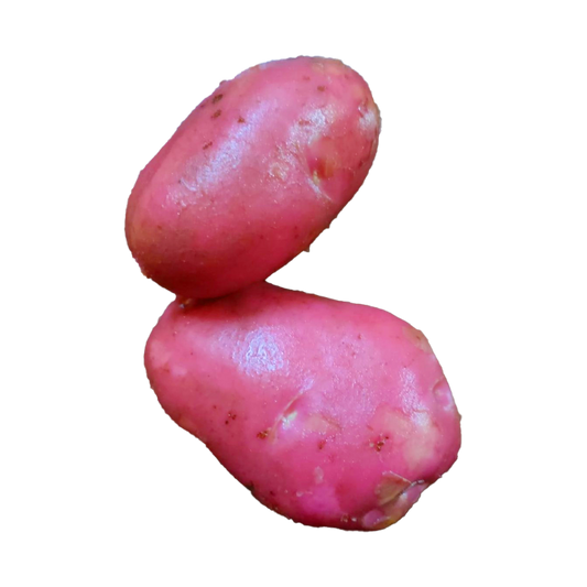 Potato Red B