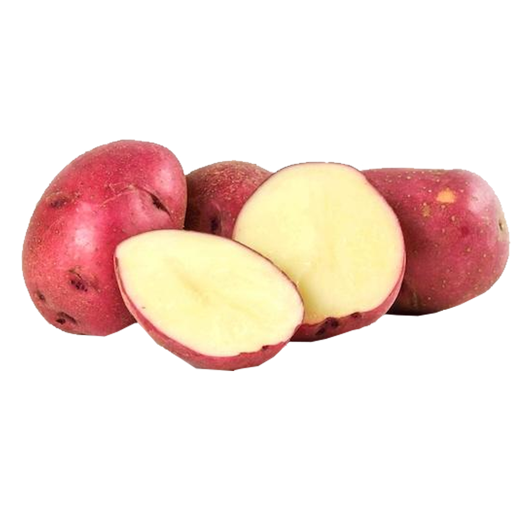 Potato Red Medium