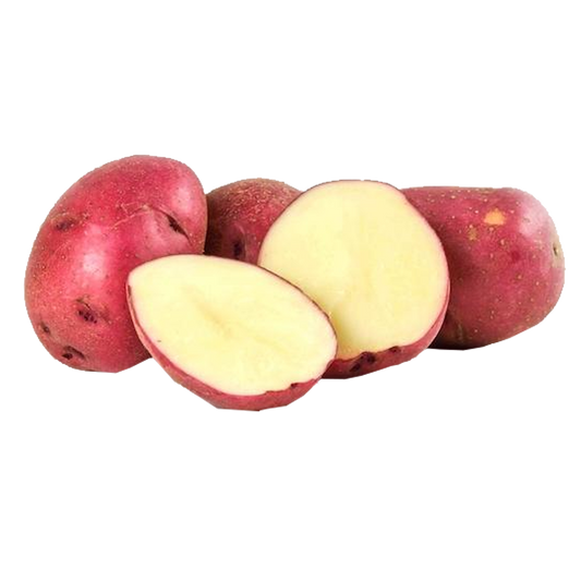 Potato Red Medium