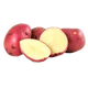 Potato Red Medium