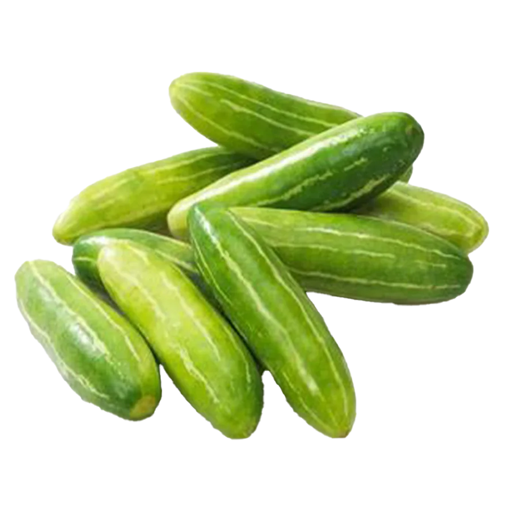 Tindora