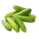 Tindora