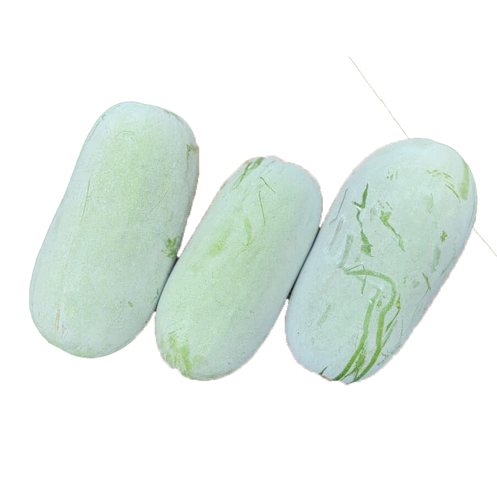 Winter melon
